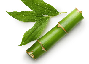 Phyllostachys Edulis Extract